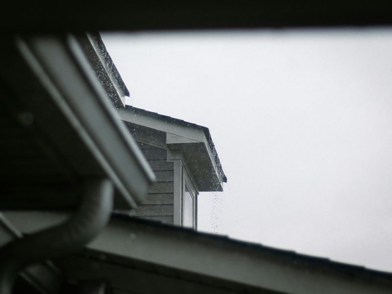 Gutters work